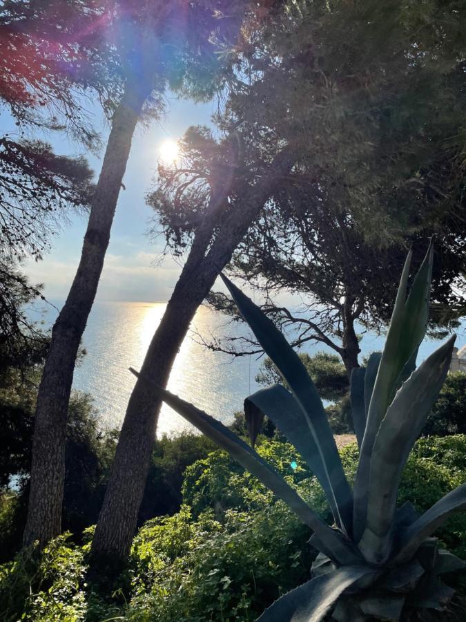 Casa Soluna Jávea Eksteriør billede
